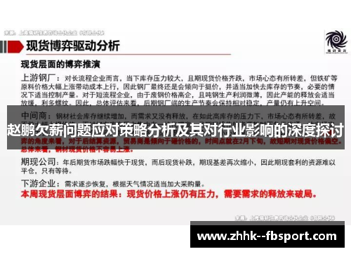 赵鹏欠薪问题应对策略分析及其对行业影响的深度探讨