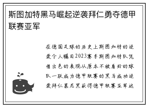 斯图加特黑马崛起逆袭拜仁勇夺德甲联赛亚军